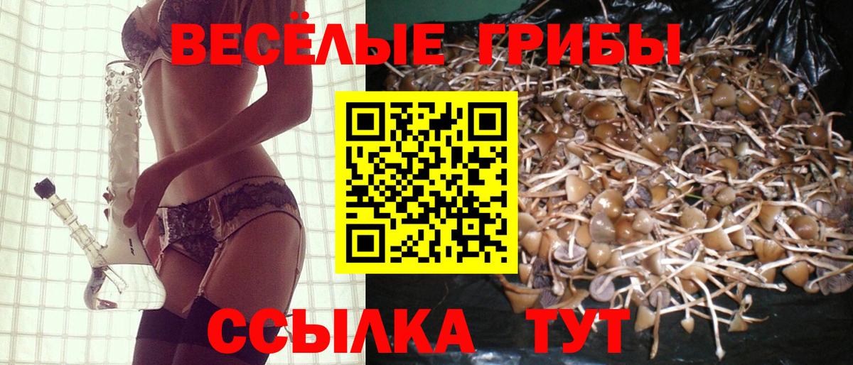 Псилоцибиновые грибы мицелий  Вход с VPN  Галлюциногенные грибы прущие грибы  Морозовск 